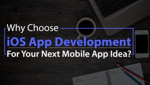 Top iphone App Developers